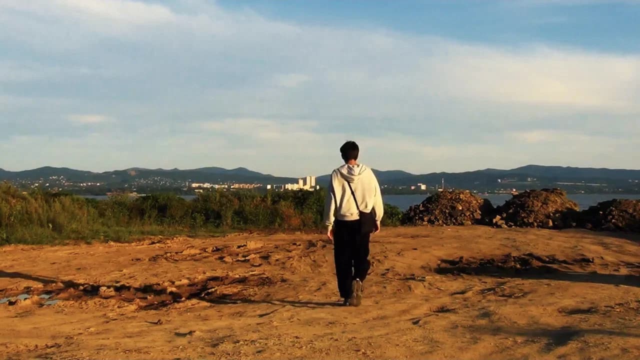 Dream vol 2. «A strolling seagull»