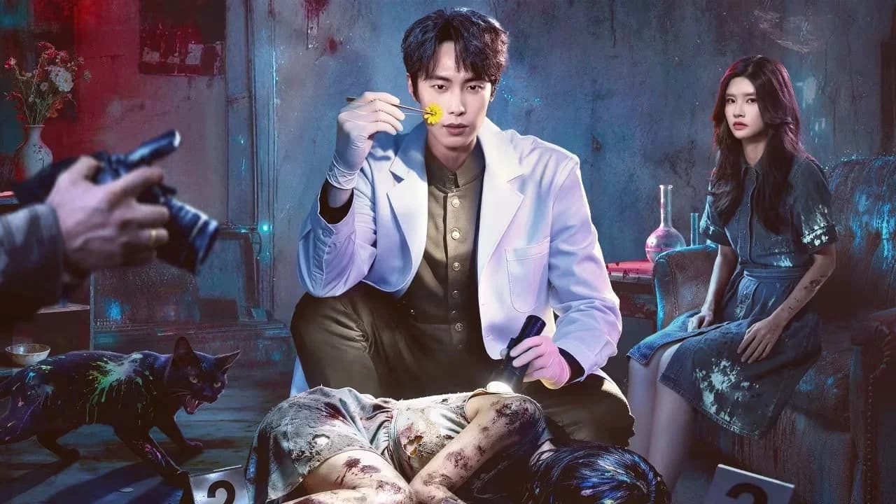Doctor Qin: Executer