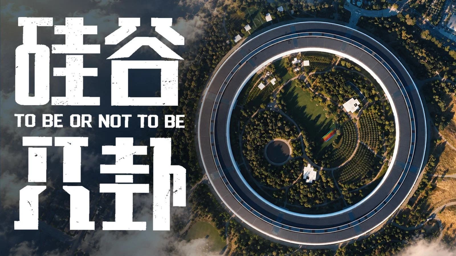 硅谷八卦